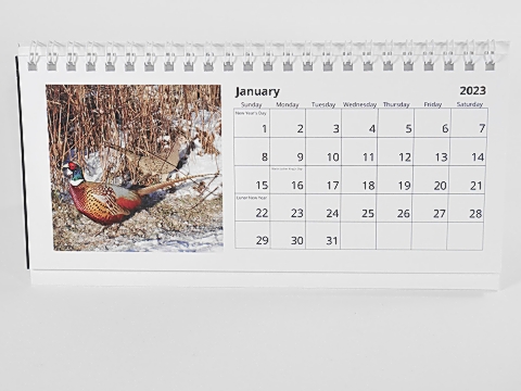 January Calendar Page 1.jpg